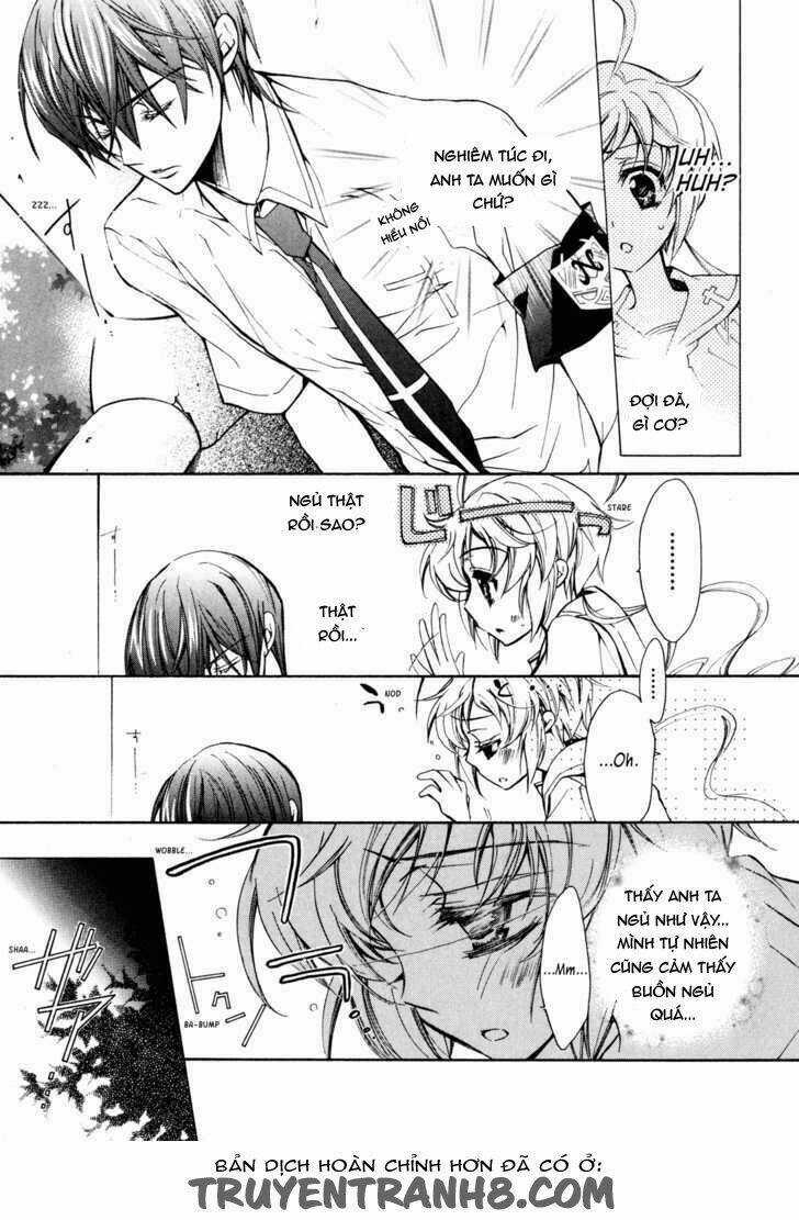 S.L.H (Stray Love Hearts) Chapter 12 trang 13