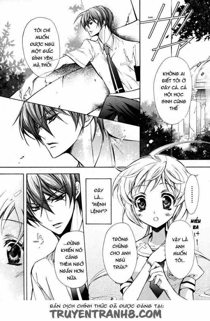 S.L.H (Stray Love Hearts) Chapter 12 trang 15