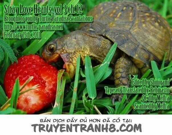 S.L.H (Stray Love Hearts) Chapter 12 trang 49