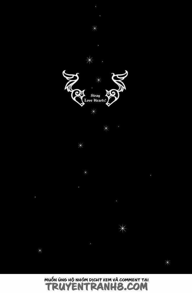 S.L.H (Stray Love Hearts) Chapter 14 trang 2