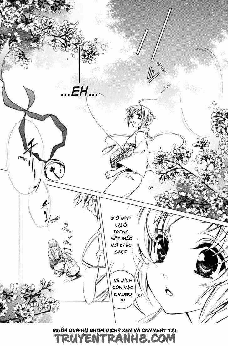 S.L.H (Stray Love Hearts) Chapter 15 trang 22