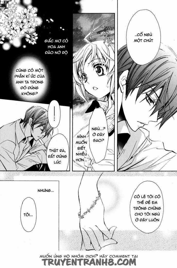 S.L.H (Stray Love Hearts) Chapter 15 trang 34