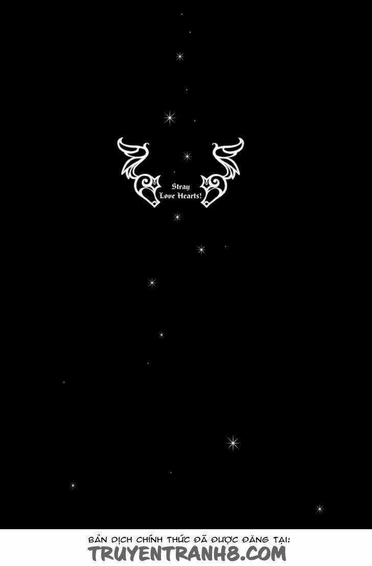 S.L.H (Stray Love Hearts) Chapter 16 trang 2