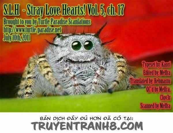 S.L.H (Stray Love Hearts) Chapter 17 trang 50