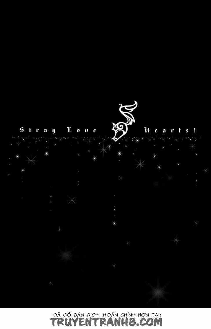 S.L.H (Stray Love Hearts) Chapter 18 trang 2