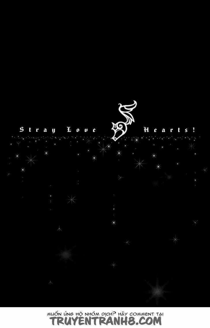 S.L.H (Stray Love Hearts) Chapter 20 trang 2
