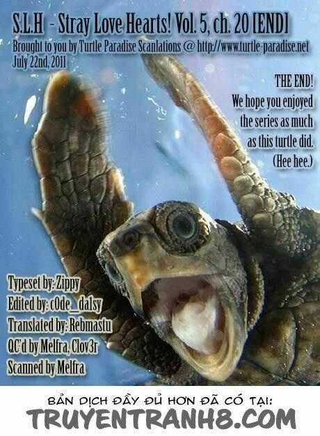 S.L.H (Stray Love Hearts) Chapter 20 trang 49