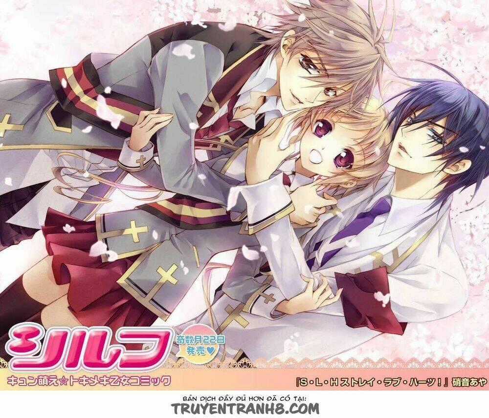 S.L.H (Stray Love Hearts) Chapter 20 trang 50