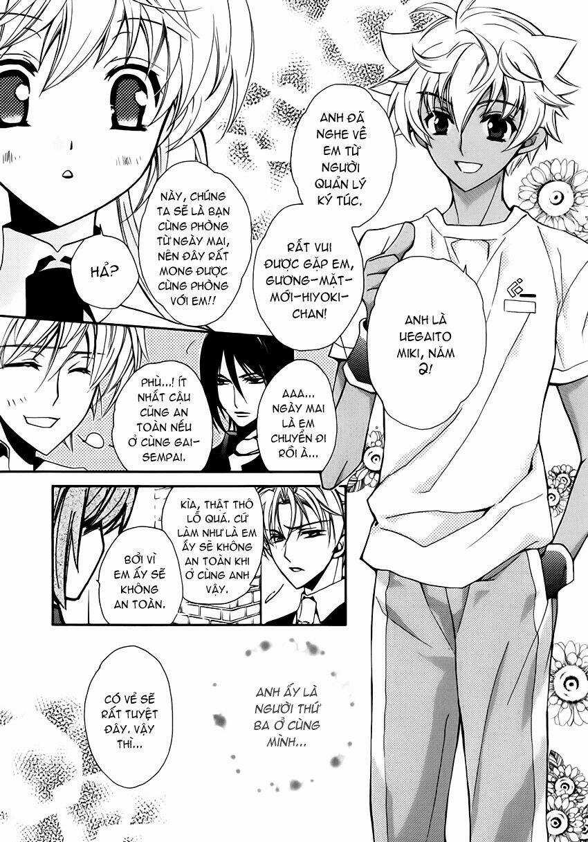 S.L.H (Stray Love Hearts) Chapter 3 trang 37