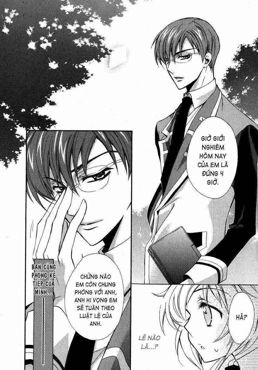 S.L.H (Stray Love Hearts) Chapter 5 trang 17