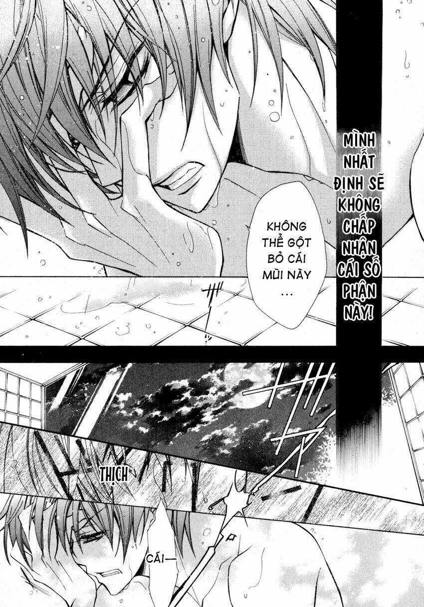 S.l.h Chapter 8 trang 15