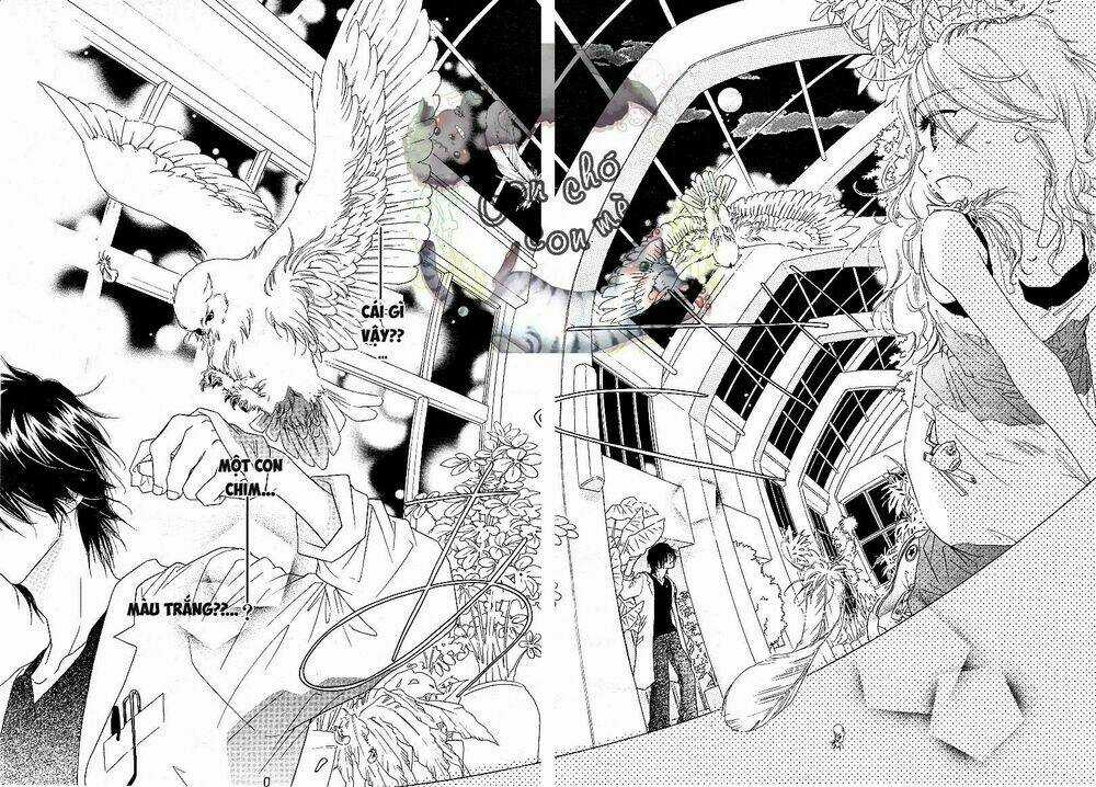 Sai x Ai Chapter 1 trang 8