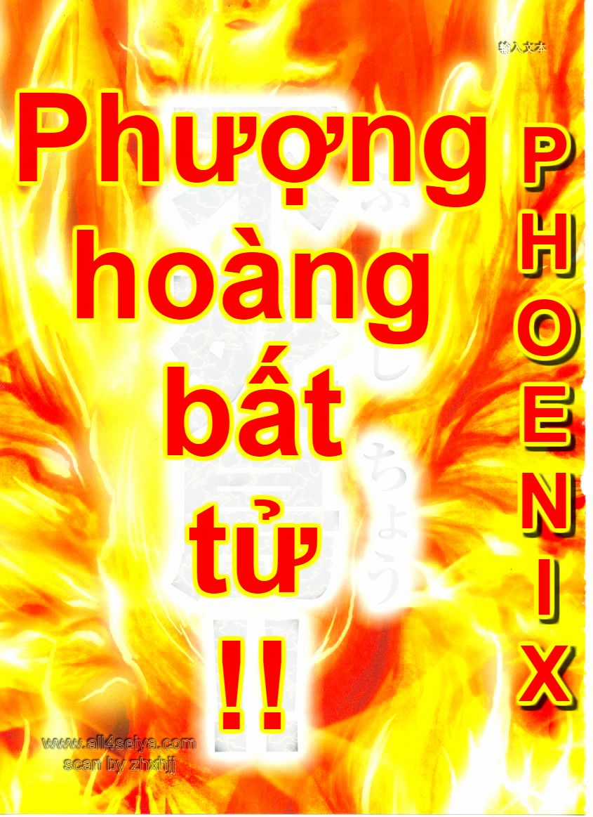 Saint Seiya: Next Dimension - The Myth Of Hades Chapter 17 trang 17