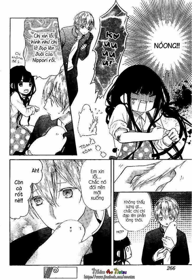 Saiouji Kyoudai Ni Komarasareru No Mo Warukunai Chapter 2 trang 20