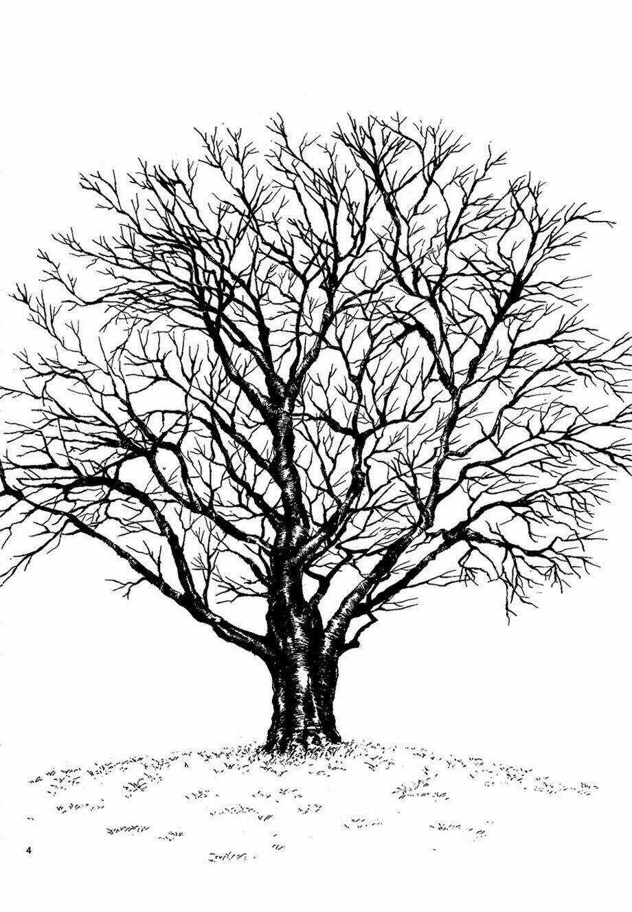 Sakura Gari Chapter 7.1 trang 5