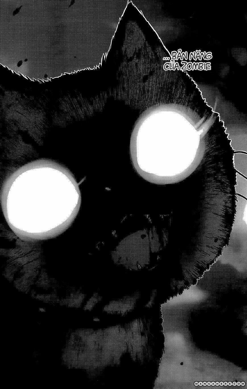 Sanka Rea Chapter 26 trang 33