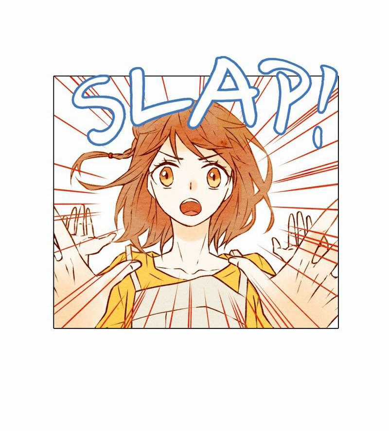 Sao Chép Chapter 2 trang 21