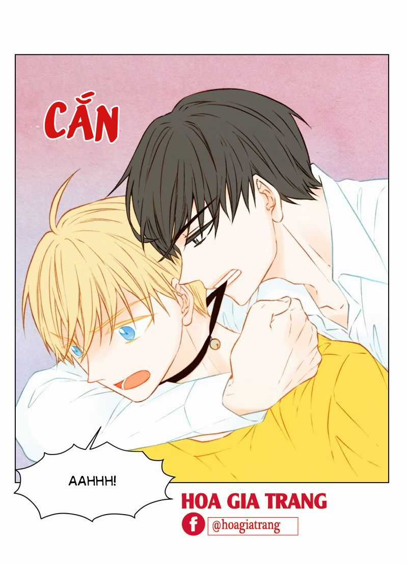 Sao Chép Chapter 61 trang 46