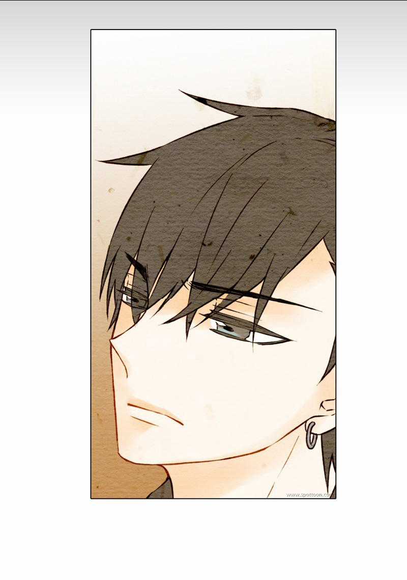 Sao Chép Chapter 8 trang 47