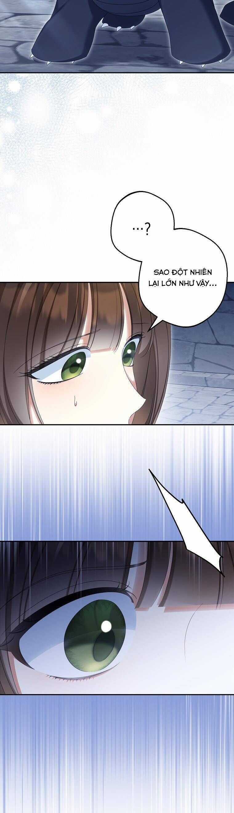 Sao Lại Ám Ảnh Cô Vợ Giả Mạo Quá Vậy? Chương 70 trang 26