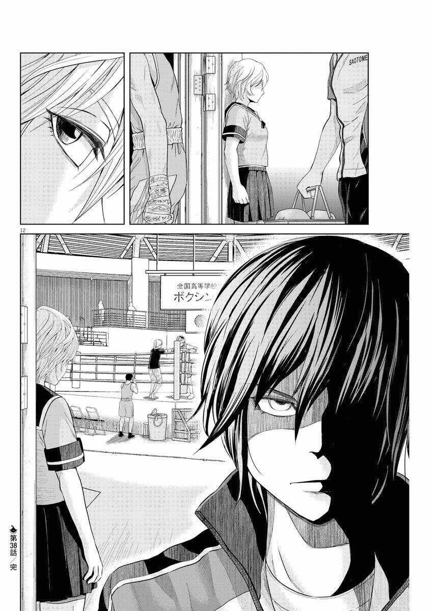 Saotome Girl, Hitakakusu Chapter 38 trang 13