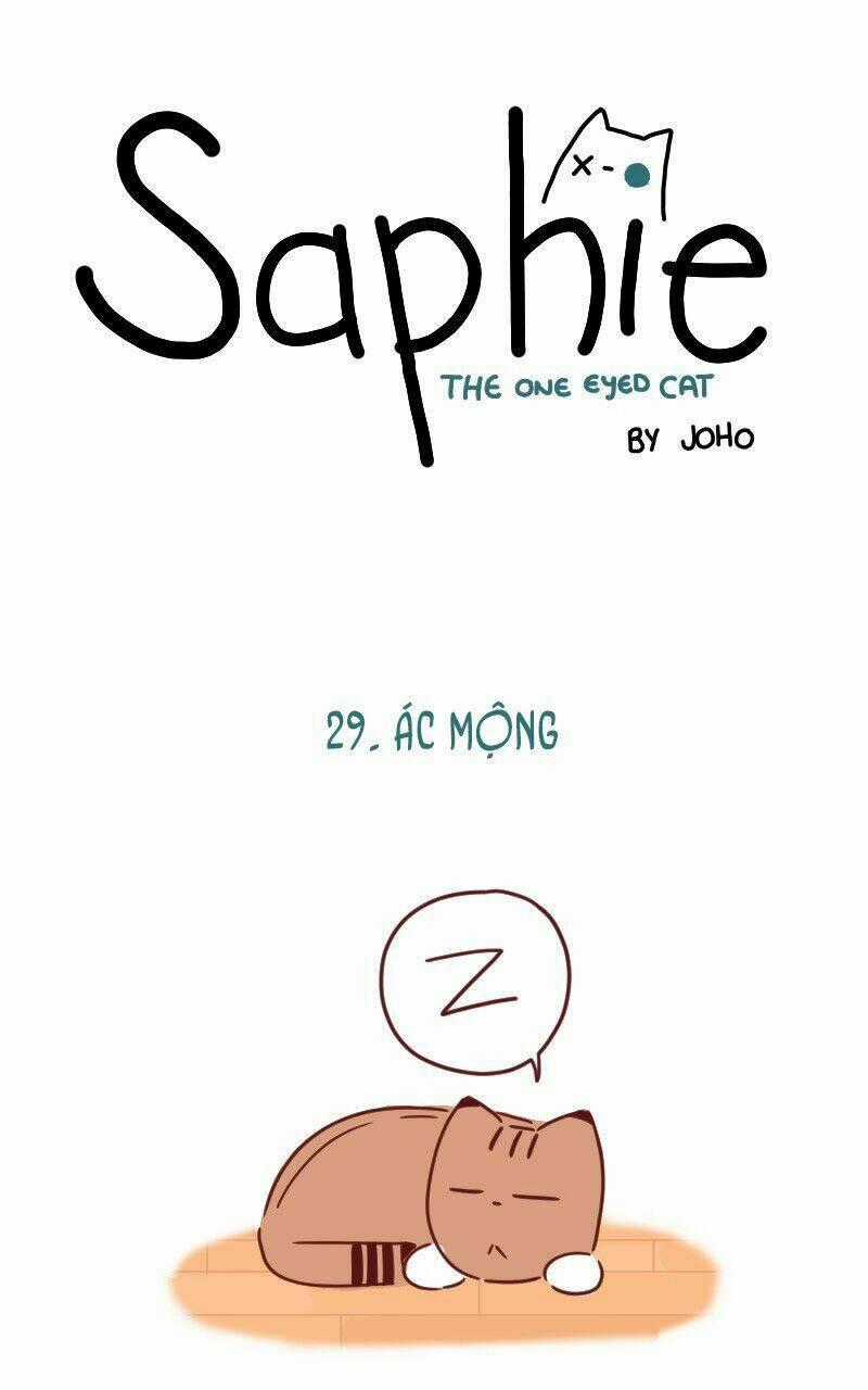 Saphie: Chú mèo một mắt Chapter 29 trang 0