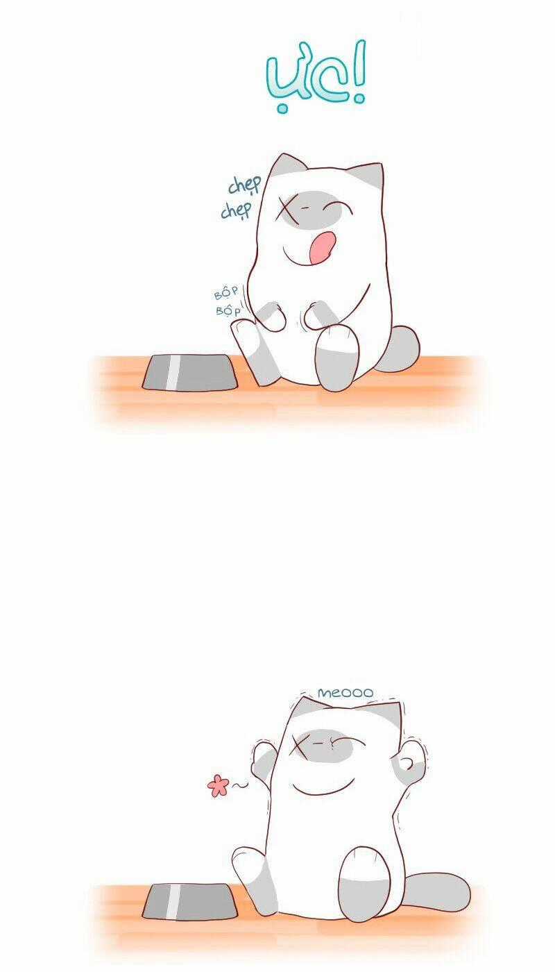 Saphie: Chú mèo một mắt Chapter 4 trang 1