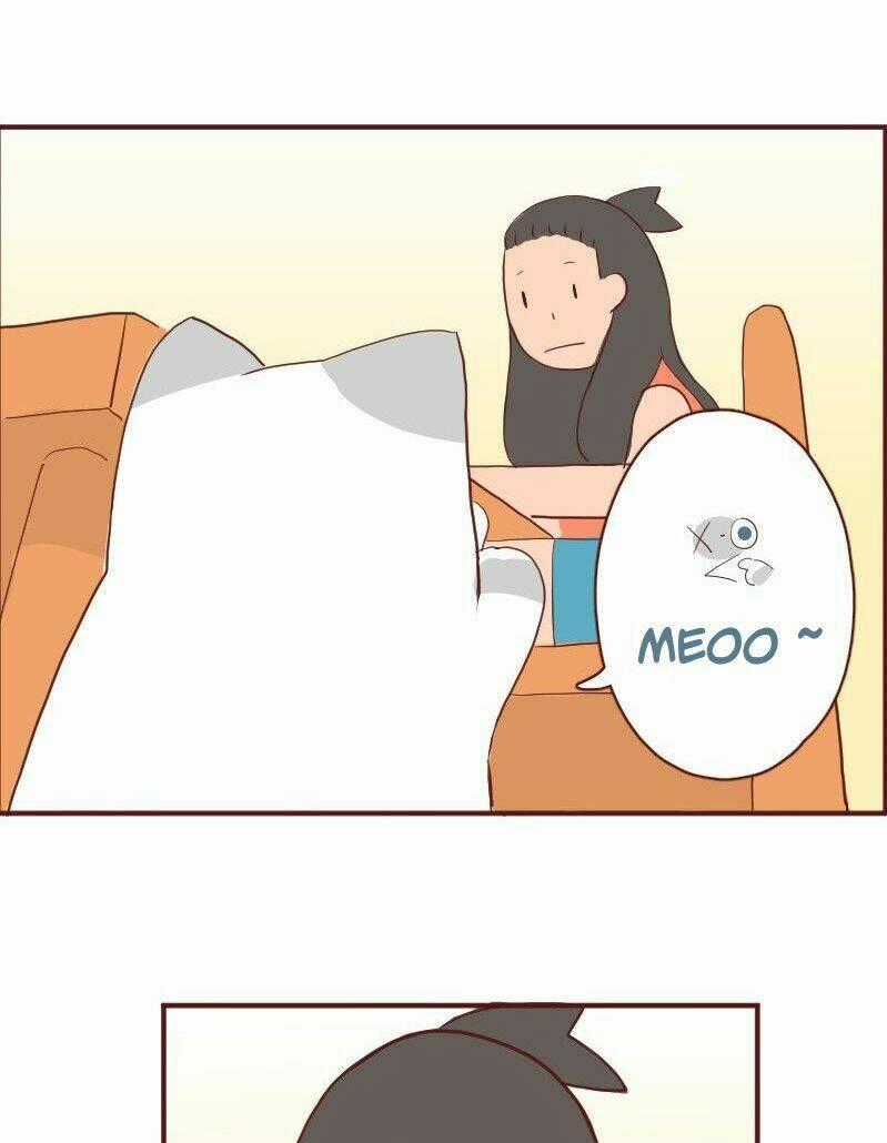 Saphie: Chú mèo một mắt Chapter 6 trang 1