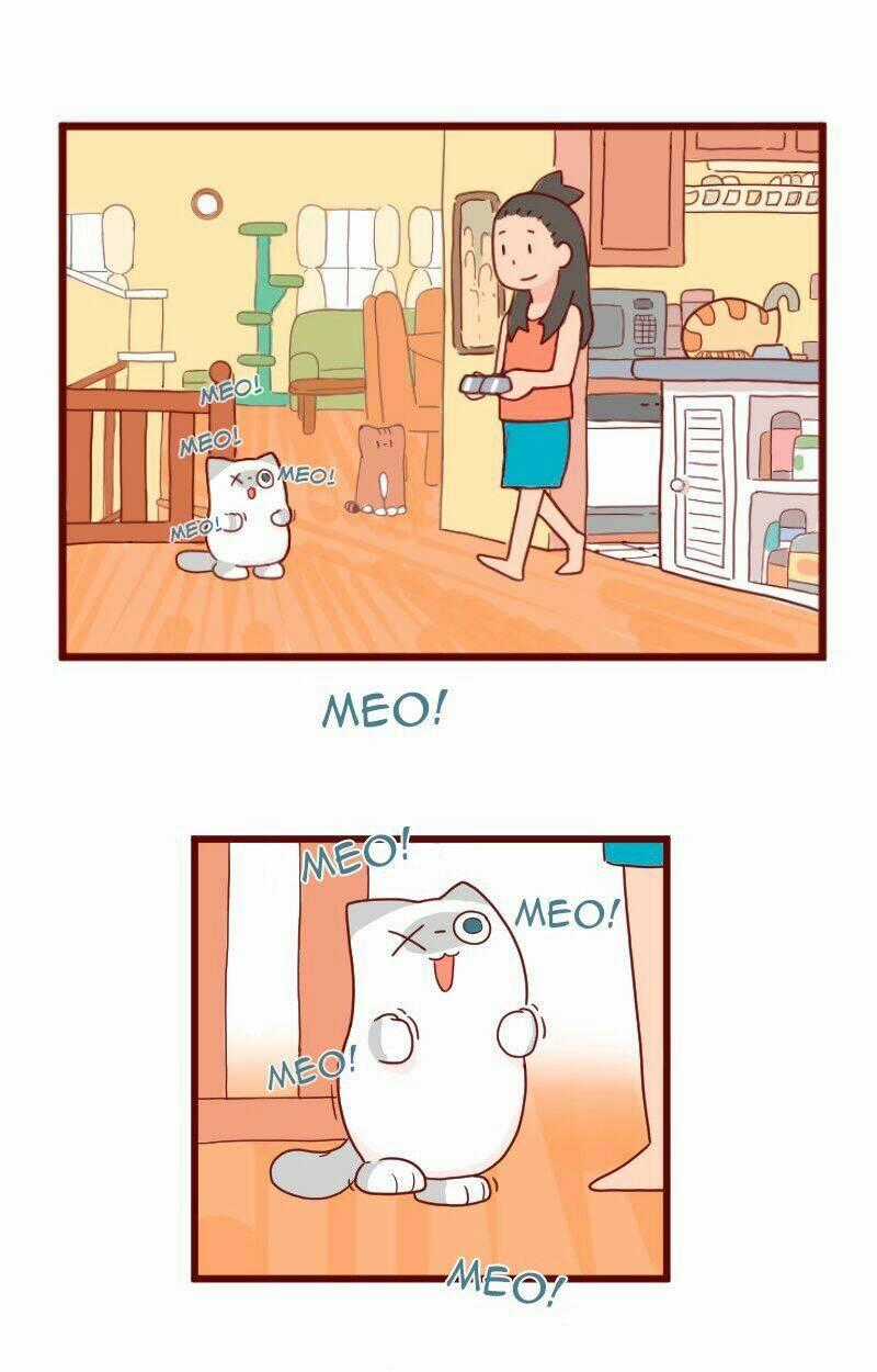 Saphie: Chú mèo một mắt Chapter 8 trang 1
