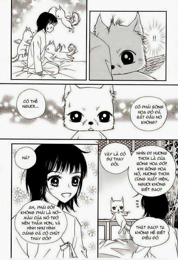 Sarasah Chapter 13 trang 25