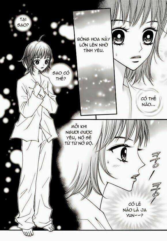 Sarasah Chapter 13 trang 3