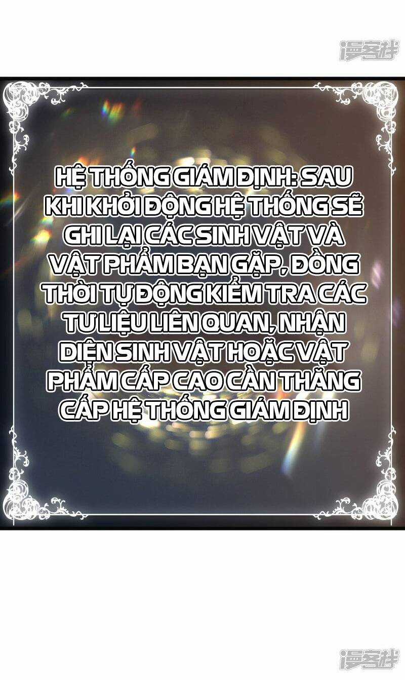 Sát Thần Chi Lộ Tại Dị Giới Chapter 49 trang 50