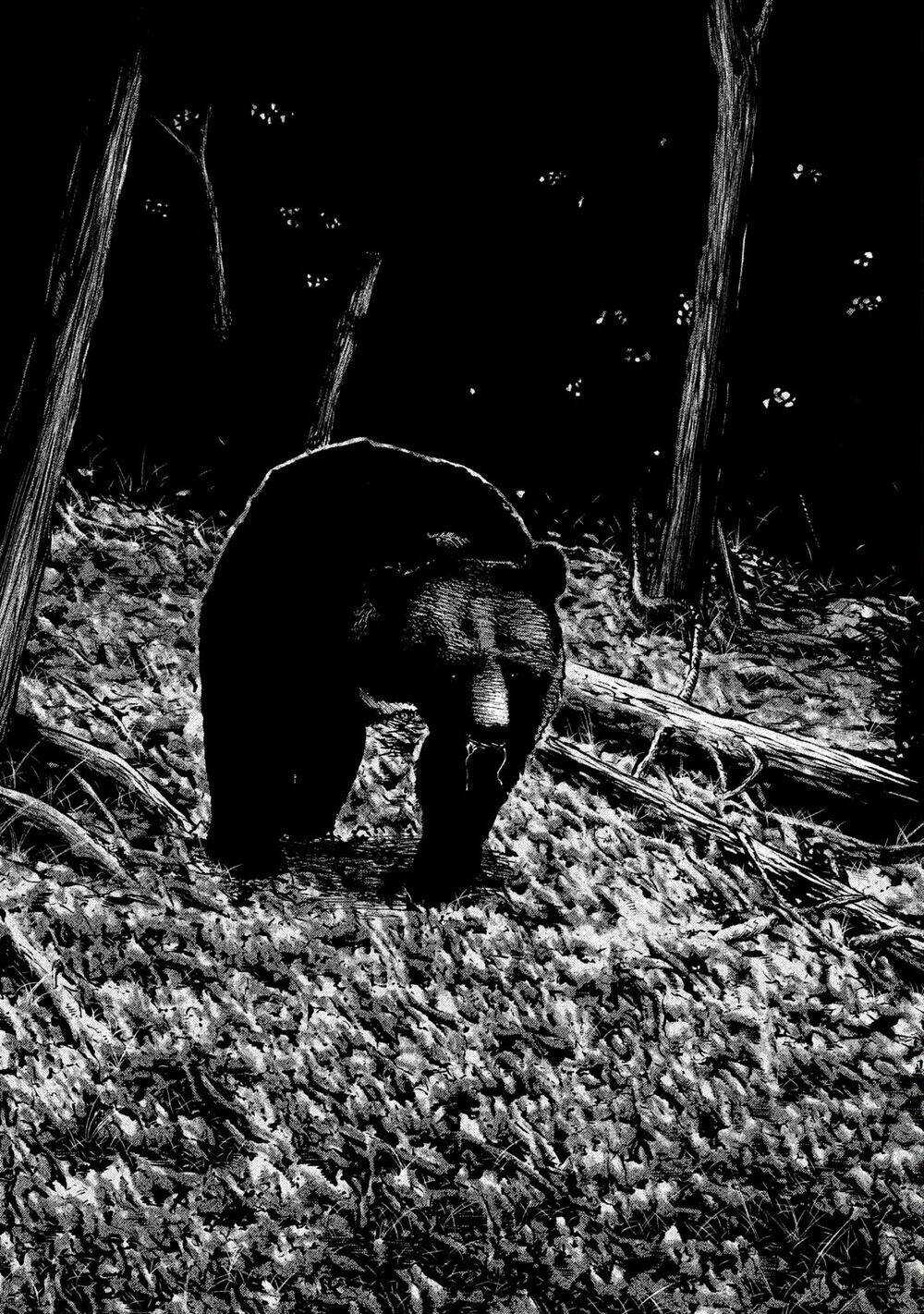 Sát Thủ Ẩn Dật Chapter 83 trang 7