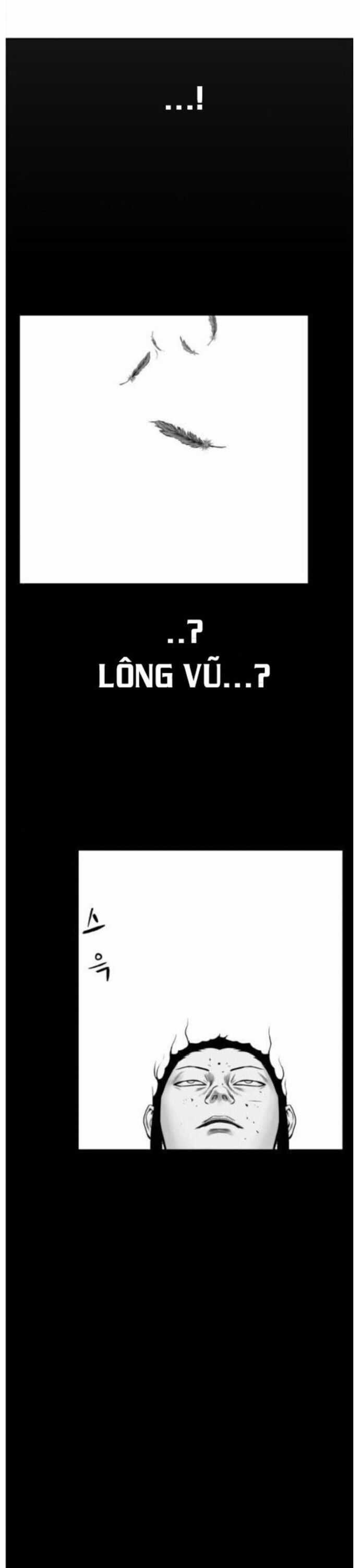 Sát Thủ Anh Vũ Chương 81 trang 24