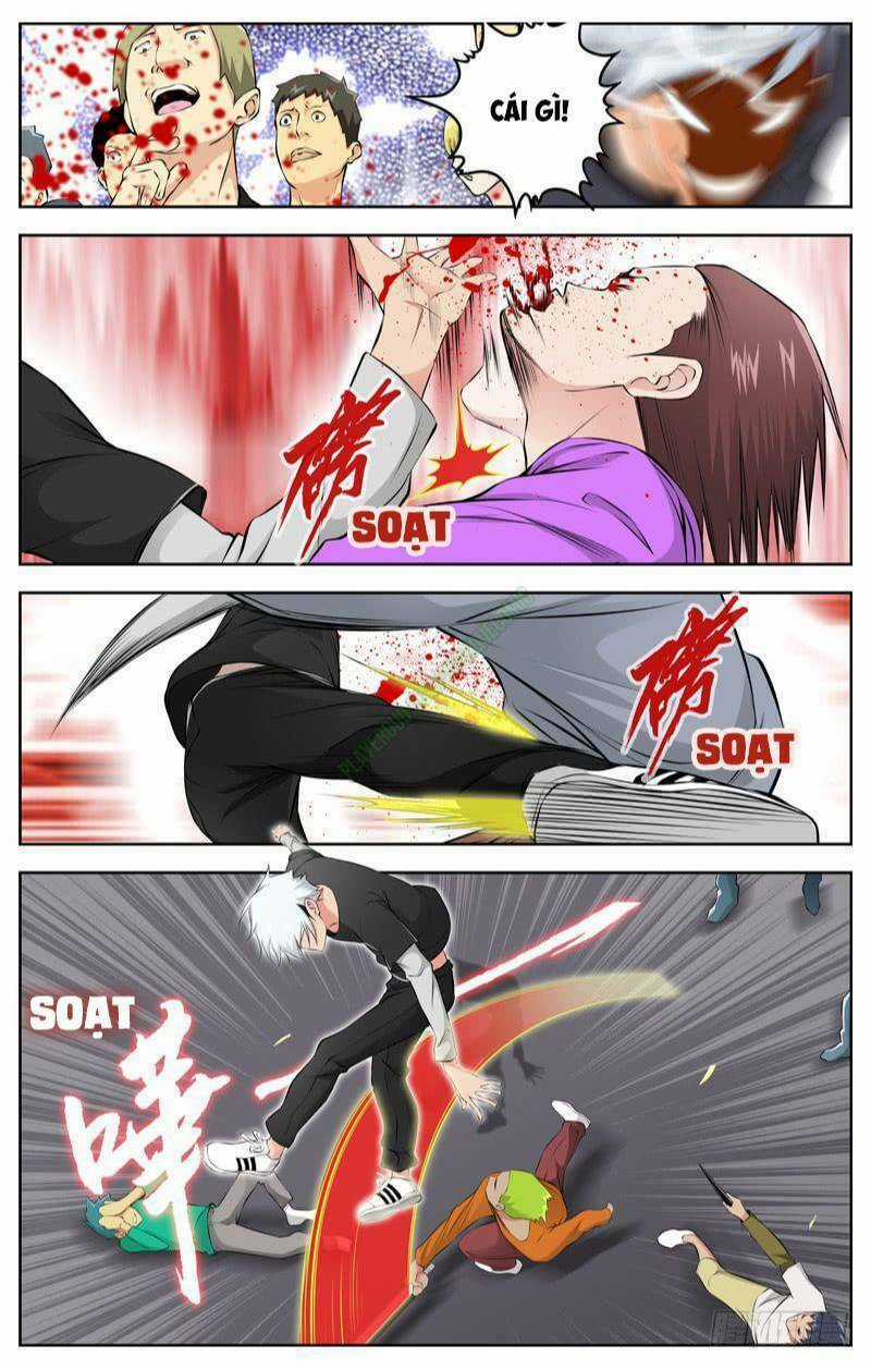 Sát Thủ Bạch Linh Chapter 71 trang 5