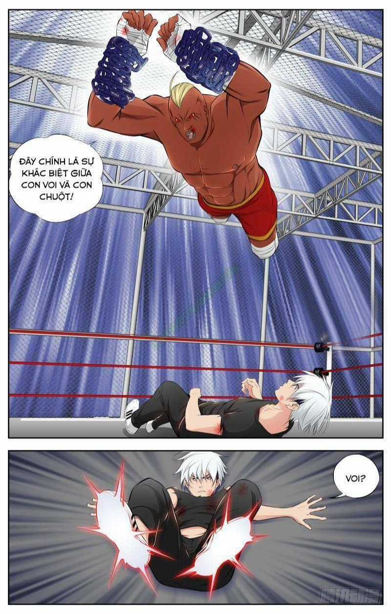 Sát Thủ Bạch Linh Chapter 77 trang 1