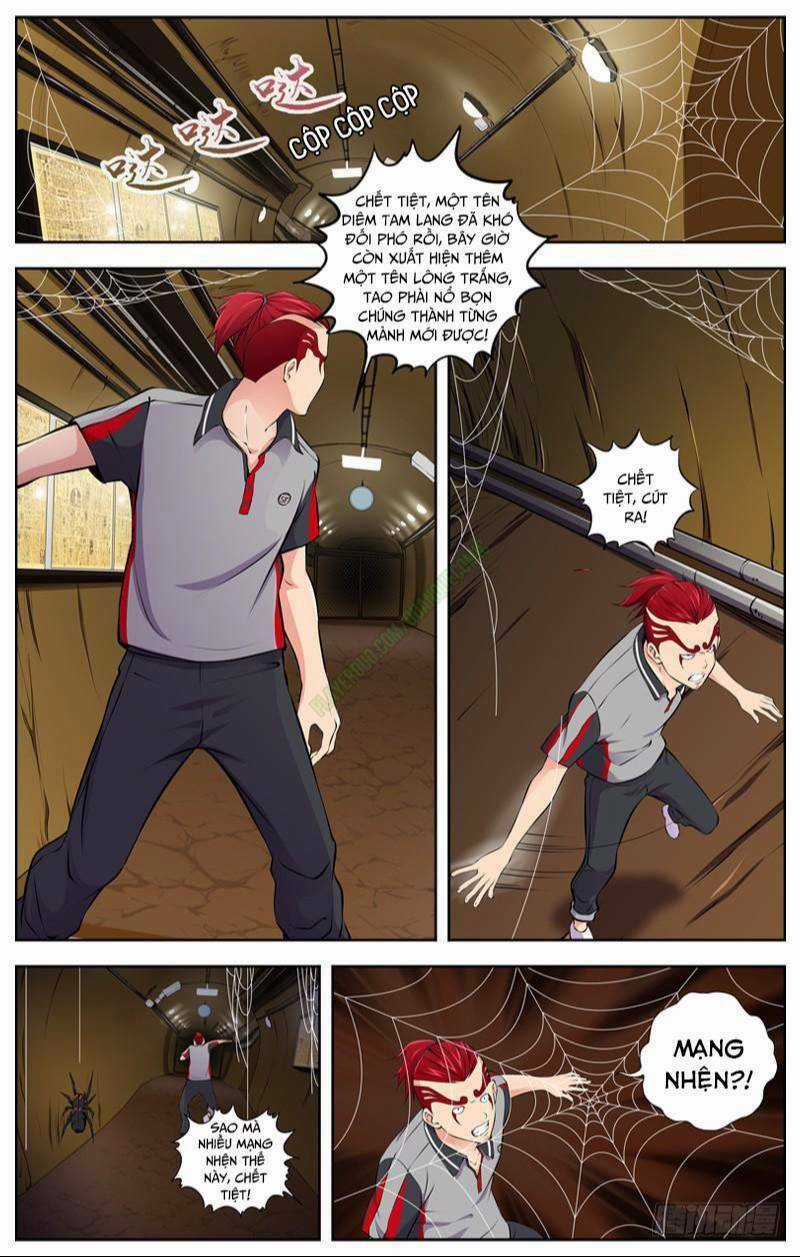 Sát Thủ Bạch Linh Chapter 83 trang 12