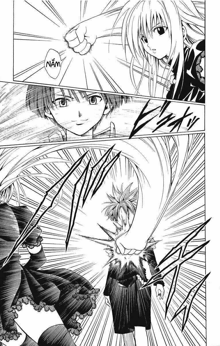 Sát Thủ Mèo Đen Chapter 137 trang 6