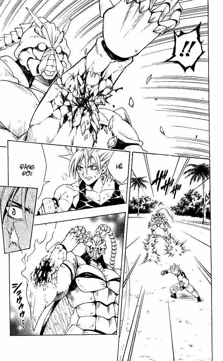 Sát Thủ Mèo Đen Chapter 150 trang 11