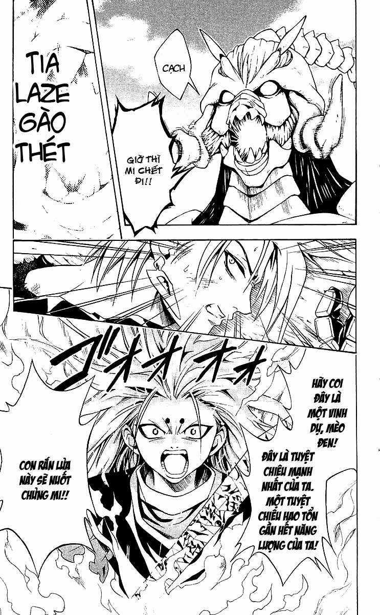 Sát Thủ Mèo Đen Chapter 150 trang 17