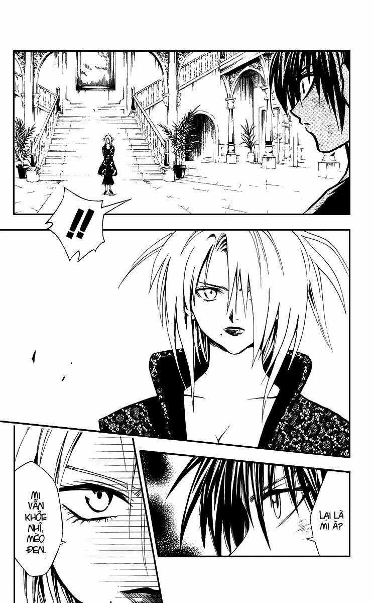 Sát Thủ Mèo Đen Chapter 153 trang 4