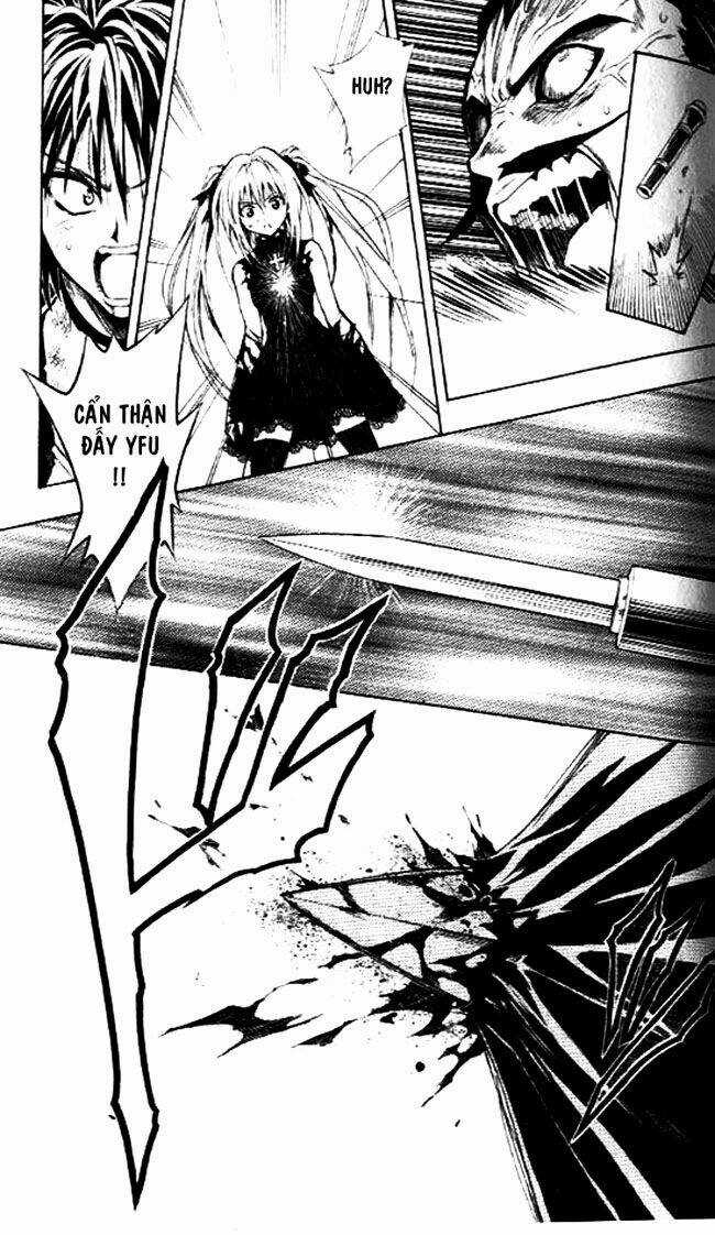 Sát Thủ Mèo Đen Chapter 155 trang 19