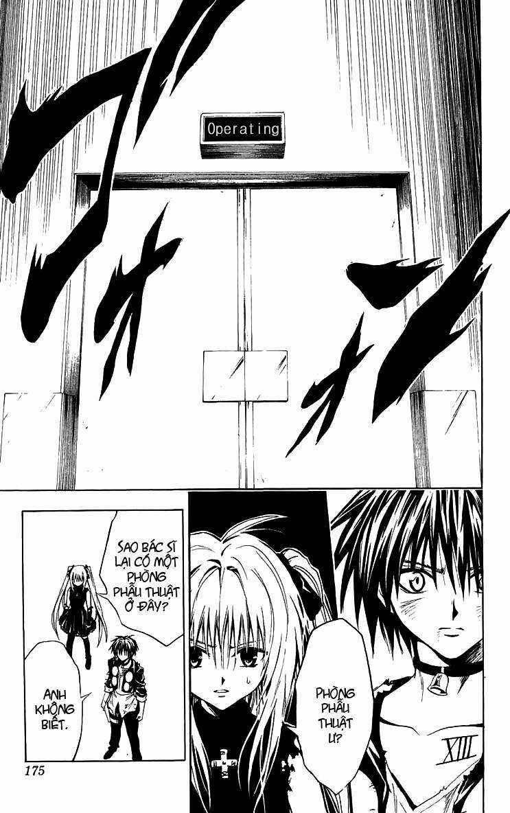 Sát Thủ Mèo Đen Chapter 158 trang 11