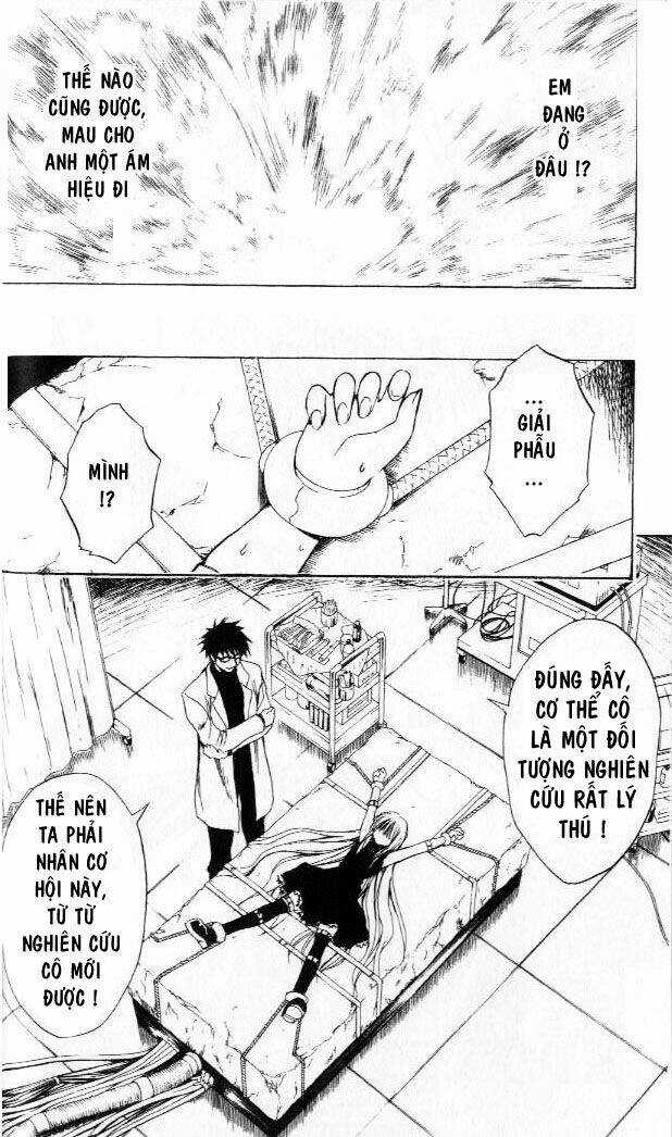 Sát Thủ Mèo Đen Chapter 162 trang 6