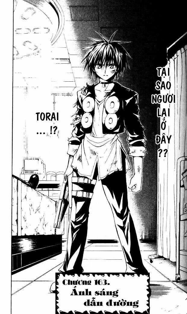 Sát Thủ Mèo Đen Chapter 163 trang 5