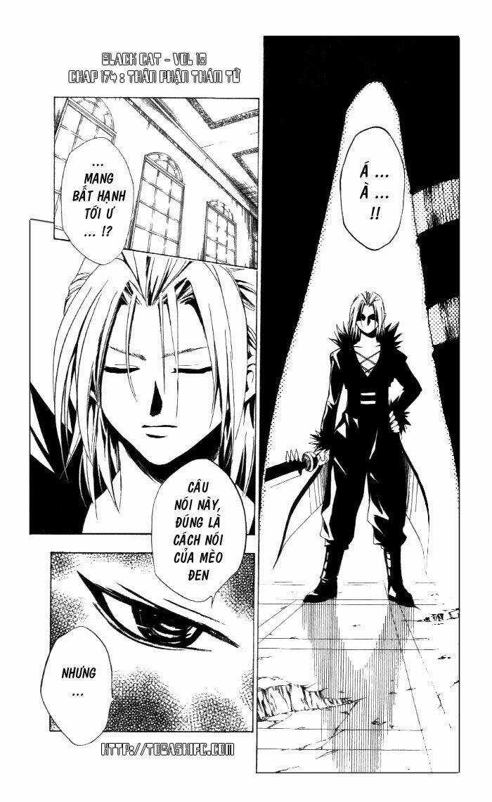 Sát Thủ Mèo Đen Chapter 174 trang 6