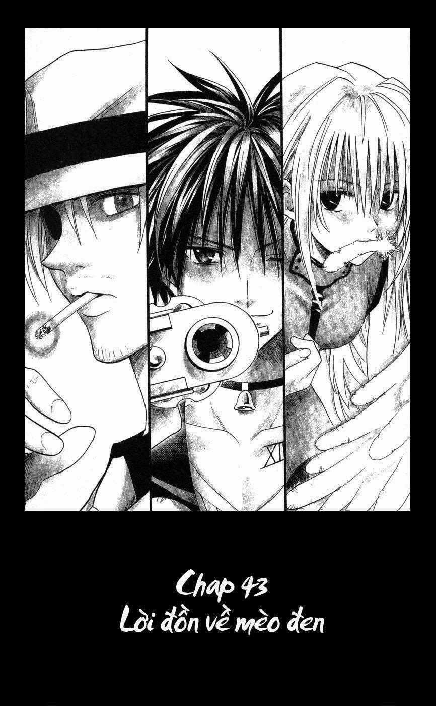 Sát Thủ Mèo Đen Chapter 43 trang 1