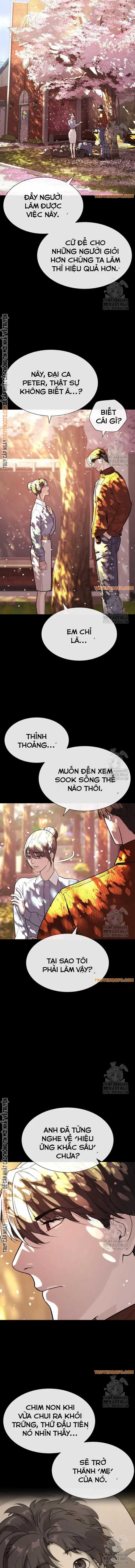Sát Thủ Peter Chapter 83 trang 6
