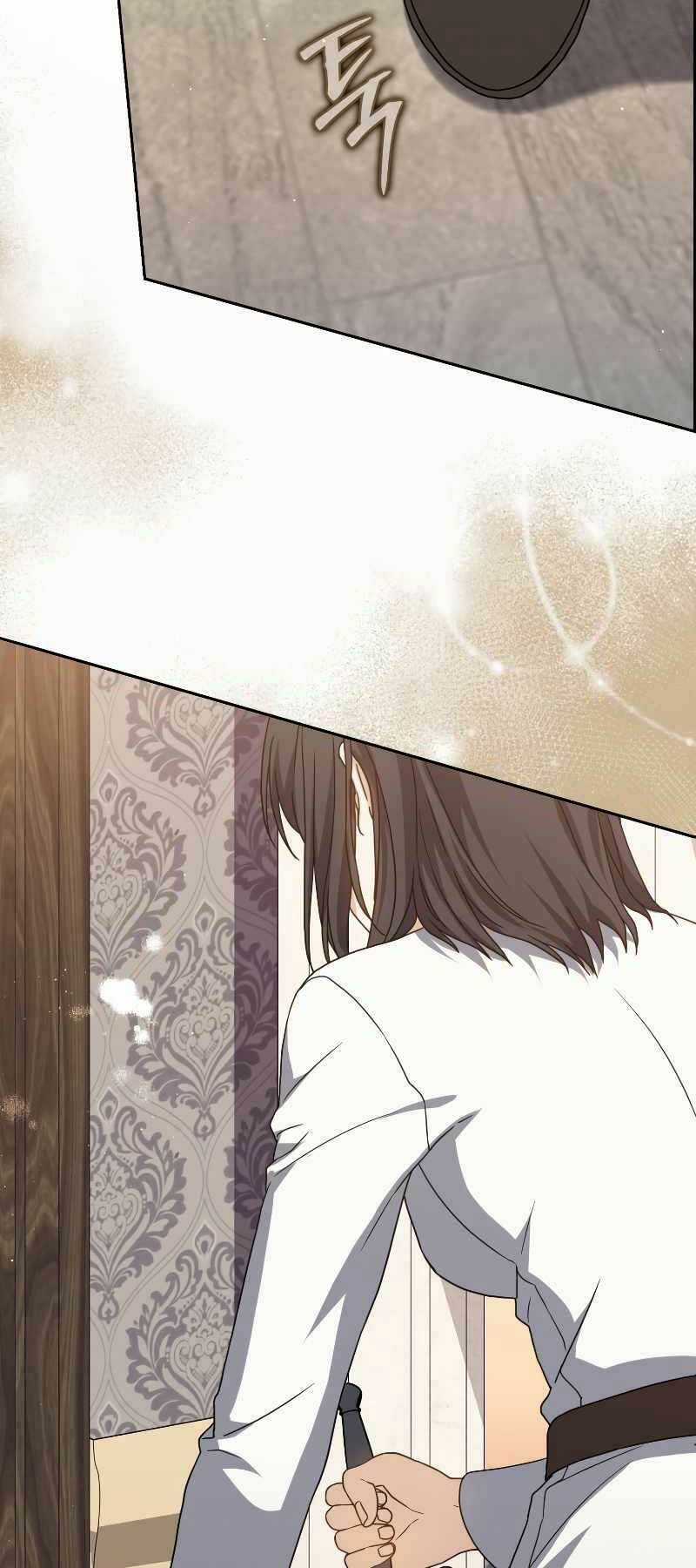 Sát Thủ Tái Sinh Thành Một Kiếm Sĩ Thiên Tài Chapter 25 trang 96