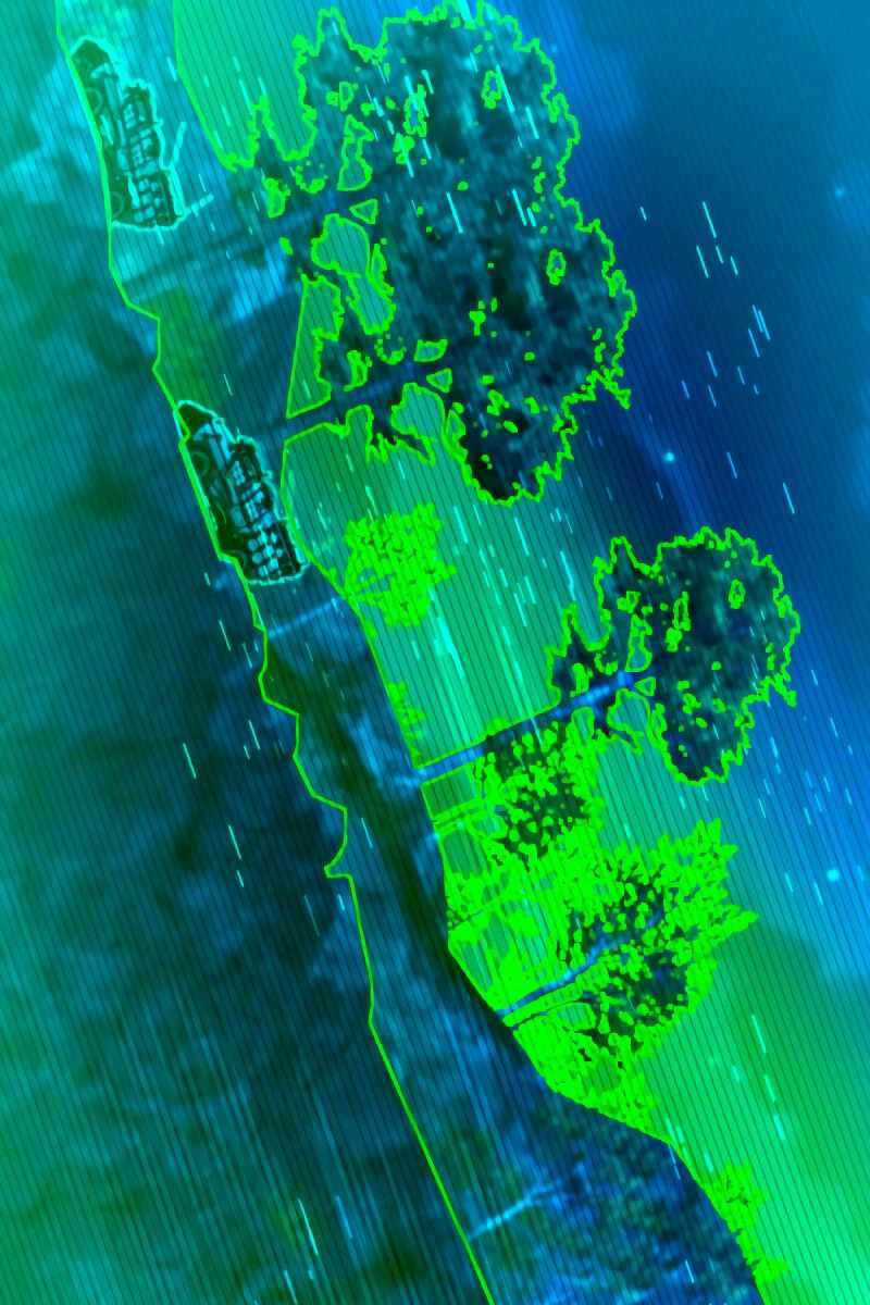 Sát Thủ Thiên Tài Đơn Độc Chapter 4 trang 50